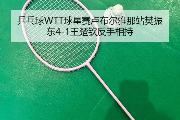 ping-pang-qiu-qiu-xing-sai-lu-bu-er-ya-na-zhan-fan-zhen-dong-wang-chu-qin-fan-shou-xiang-chi-2-358.jpg